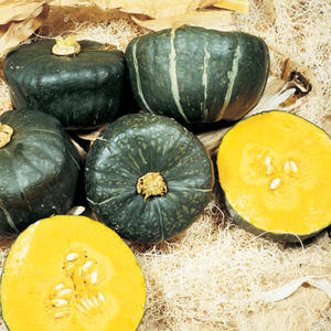 Butter Cup Squash